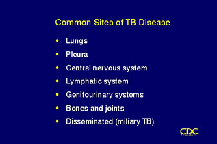 Slide 11: Common Sites of TB Disease. Click for larger version.