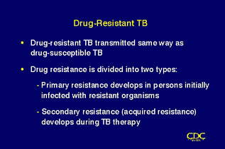Slide 12: Drug-Resistant TB. Click for larger version.