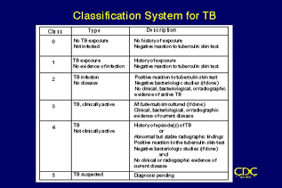 Slide 13: Classification System for TB (chart). Click for larger version.