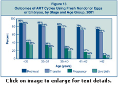 Figure 13: Outcomes of ART Cycles Using Fresh Nondonor Eggs or Embryos, by Stage and Age Group, 2001.
