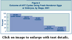 Figure 3: Outcome of ART Cycles Using Fresh Nondonor Eggs or Embryos, by Stage, 2001.
