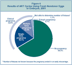 Figure 6: Results of ART cycles Using Fresh, Nondonor Eggs or Embryos, 2001.