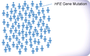 illustration of HFE mutation subset