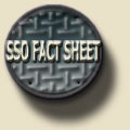SSO Fact Sheet Logo