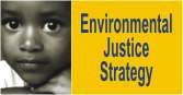 Environmental Justice Strategy