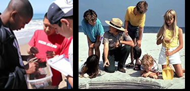 collage: boys examine organisms found on the beach; a ranger shows children the many layers of sand beneath their feet