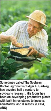 Man with container of soybeans. Caption: Sometimes called The Soybean Doctor, agronomist Edgar E. Hartwig has devoted half a century to soybeans research. His focus has been on developing productive plants with built-in resistance to insects, nematodes, and diseases. (USDA, ARS)