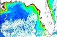 Coastal Monitoring and Observations