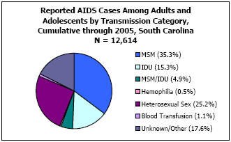 Reported AIDS Cases Among Adults and Adolescents by Transmission Category, Cumulative through 2005, South Carolina N = 12,614 MSM - 35.3%, IDU - 15.3%, MSM/IDU - 4.9%, Hemophilia - 0.5%, Heterosexual Sex - 25.2%, Blood Transfusion - 1.1%, Unkown/Other - 17.6%