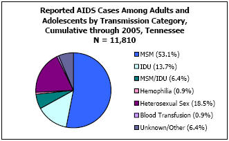 Reported AIDS Cases Among Adults and Adolescents by Transmission Category, Cumulative through 2005, Tennessee N = 11,810 MSM - 53.1%, IDU - 13.7%, MSM/IDU - 6.4%, Hemophilia - 0.9%, Heterosexual Sex - 18.5%, Blood Transfusion - 0.9%, Unkown/Other - 6.4%
