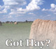This link leads to the Hay Net online application