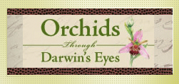 Orchids Through Darwin’s Eyes