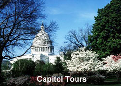 Capitol Tours
