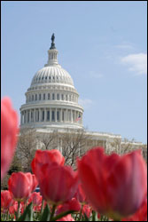 Photo | U.S. Capitol Building