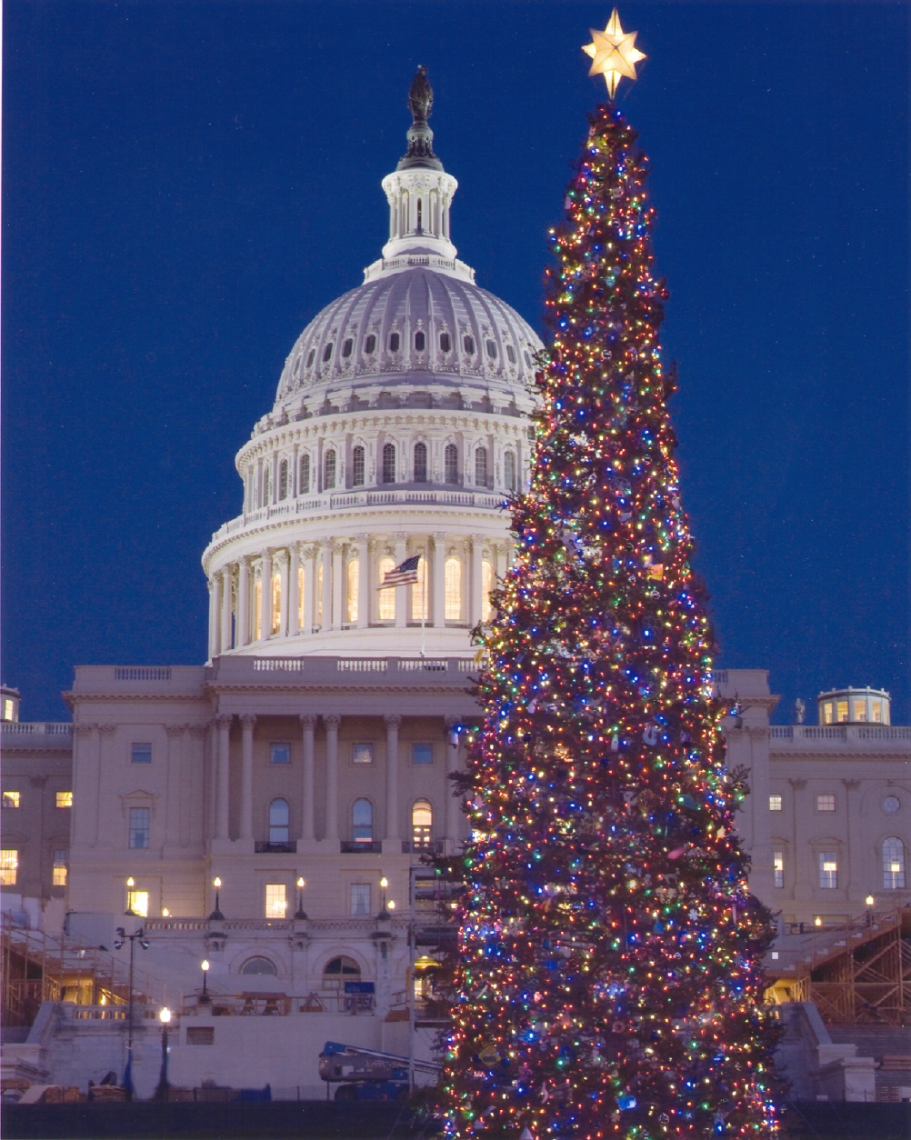 2008 Capitol Christmas Tree