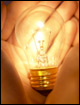 Light Bulb