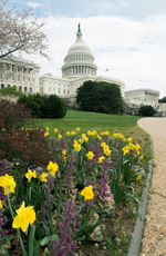 Approaches to the U.S. Capitol