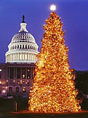 2000 Christmas Tree