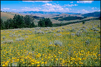 Photo | Lemhi Pass -- Southwestern Montana