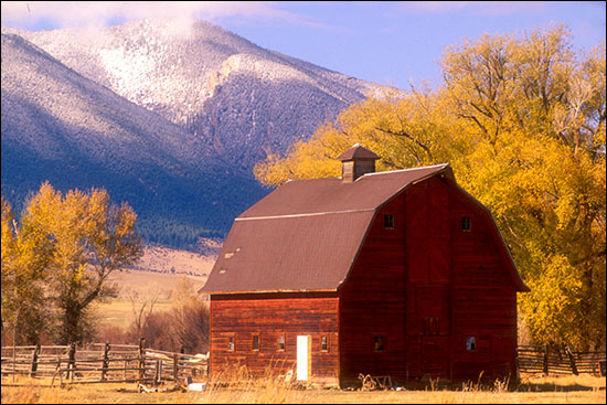 Photo | Autumn in Montana