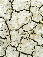 Photo of cracked earth in need of water.