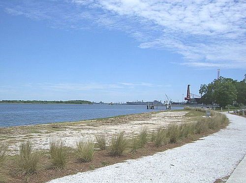 charleston port