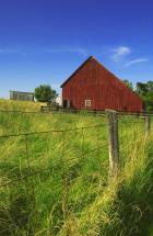 Barn