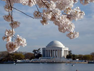 Jefferson Memorial