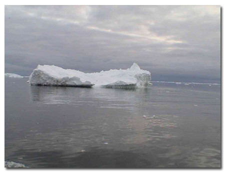 Iceberg in Disko Bay