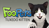 FooPets Tuxedo Kitten