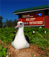 Midway Atoll NWR. Credit: Marc Romano