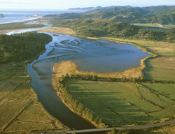 Nestucca Bay National Wildlife Refuge. Credit: USFWS