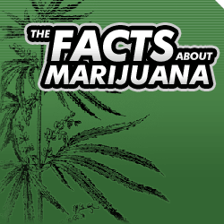 Facts About Marijuana - NIDA wants your feedback. Click here to give NIDA your feedback.