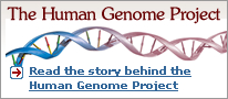 Read the story behind the Human Genome Project