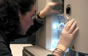 Researcher monitoring a sequencing machine