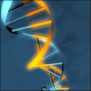 illustration of DNA