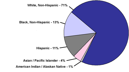 Pie chart titled: Distribution of US Women in 2000 by Race/Ethnicity