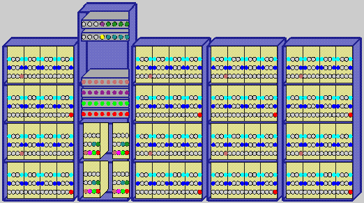 Physical Map of LoBoS 1