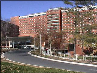View of the Current Clinical Center
