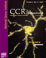 CCR connections Vol. 1 No. 2