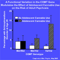 A Functional Variation in the COMT Gene Modulates the Effect of Adolescent Cannabis Use on the Risk of Adult Psychosis graph