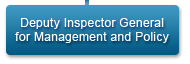 Deputy Inspector General for Management and Policy