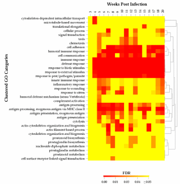 Example of a Clustered Image Map of Categories in a Time Series