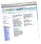 Screenshot of NDDIC Spanish health portal.