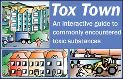 Tox Town collage with logo - 254X163 pixels - 17.4 KB