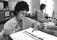 Picture of a geneticist at work.