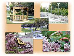 Composite showing photos of Clinical Center grounds