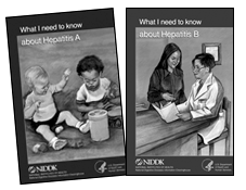 Image of the Hepatitis A and B booklets.