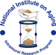 NIA Intramural Research Program Logo
