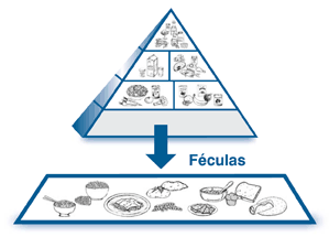Ilustración de la pirámide alimenticia con la sección de las féculas engrandada para enseñar dibujos de arroz, papas, pan, saltinas, tortillas y otras féculas.